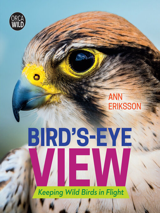 Title details for Bird's-Eye View by Ann Eriksson - Available